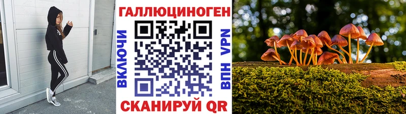 это телеграм Болхов Псилоцибиновые грибы мицелий